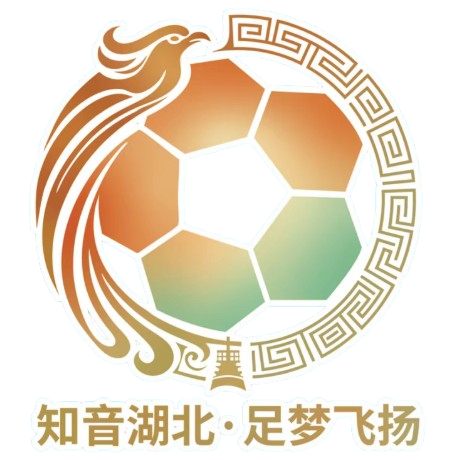 Hubei City Football League