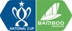 Vietnam National Cup