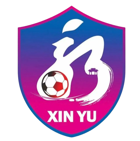 Xinyu Team